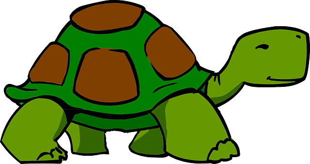 M5 Schildkrötenklasse